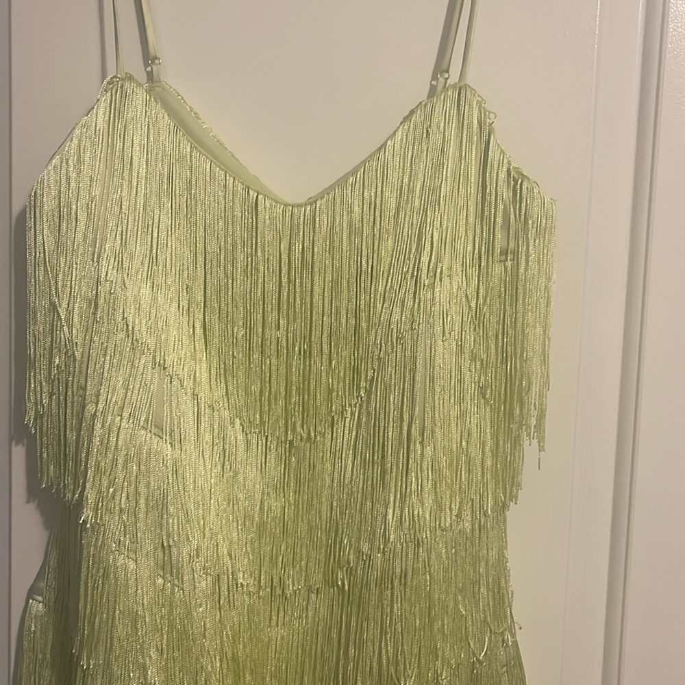 House of Harlow 1960 fringe dress - Picture 4 of 11